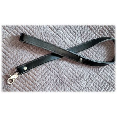 Leather Leashes and Collars
